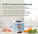 Actifs Concentrés & Naturels